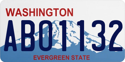 WA license plate ABO1132