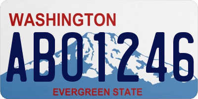WA license plate ABO1246