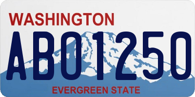 WA license plate ABO1250