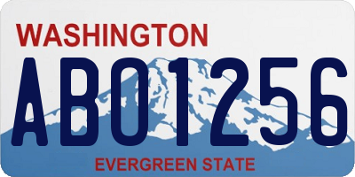 WA license plate ABO1256