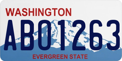 WA license plate ABO1263