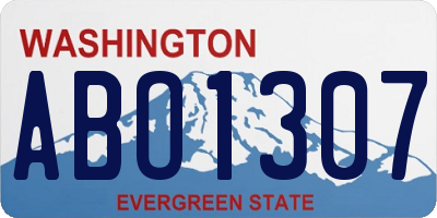 WA license plate ABO1307