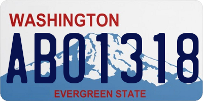 WA license plate ABO1318