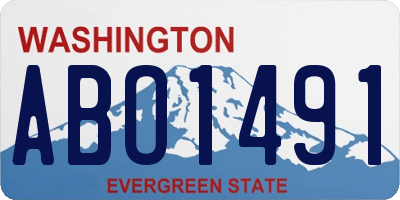WA license plate ABO1491