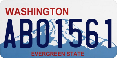 WA license plate ABO1561