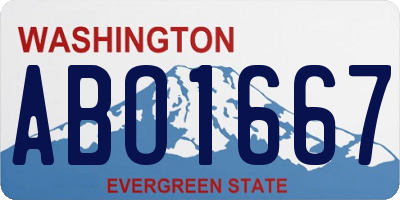 WA license plate ABO1667