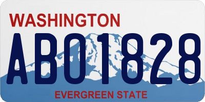 WA license plate ABO1828