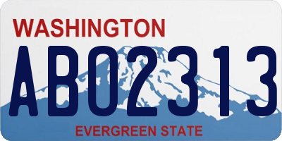 WA license plate ABO2313