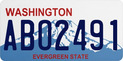WA license plate ABO2491