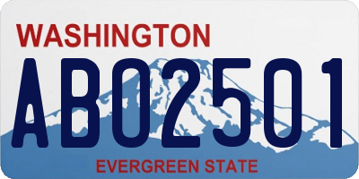 WA license plate ABO2501