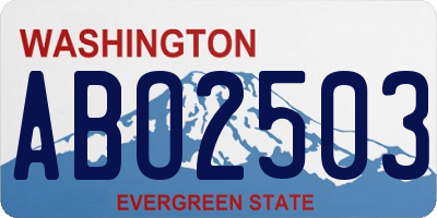 WA license plate ABO2503