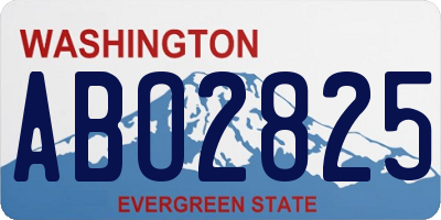 WA license plate ABO2825