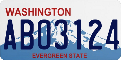 WA license plate ABO3124