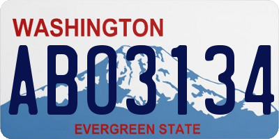 WA license plate ABO3134
