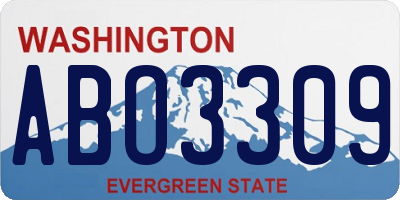 WA license plate ABO3309