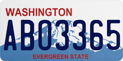 WA license plate ABO3365