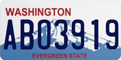 WA license plate ABO3919