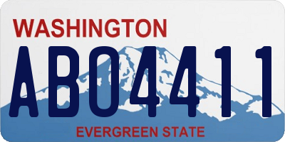 WA license plate ABO4411
