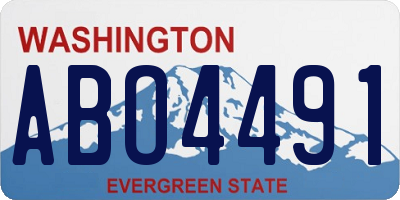 WA license plate ABO4491
