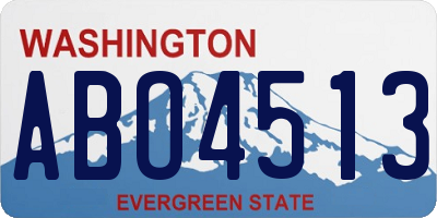 WA license plate ABO4513