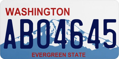 WA license plate ABO4645