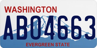 WA license plate ABO4663