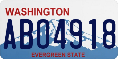 WA license plate ABO4918