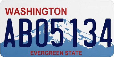 WA license plate ABO5134