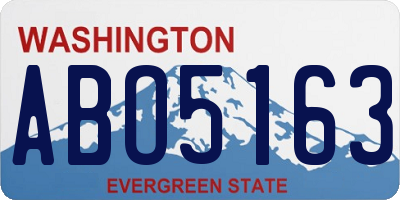 WA license plate ABO5163