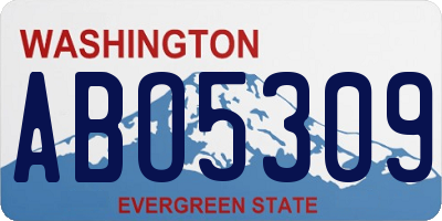 WA license plate ABO5309