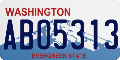 WA license plate ABO5313