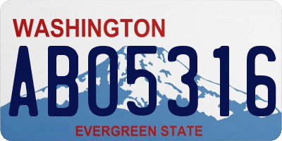 WA license plate ABO5316