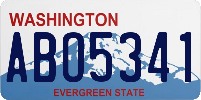 WA license plate ABO5341