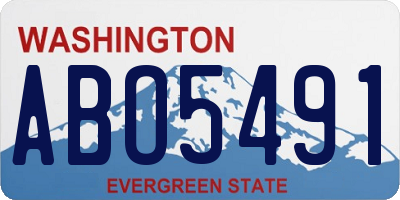 WA license plate ABO5491