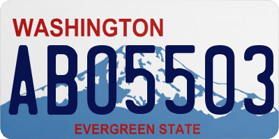 WA license plate ABO5503