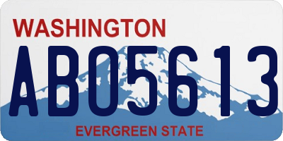 WA license plate ABO5613