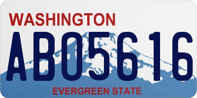WA license plate ABO5616
