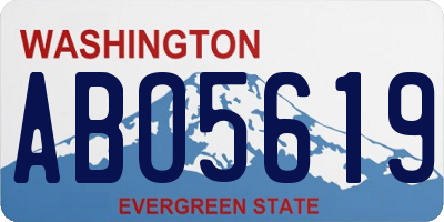WA license plate ABO5619