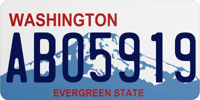 WA license plate ABO5919