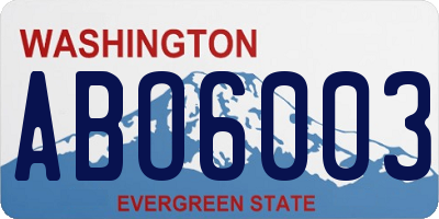 WA license plate ABO6003