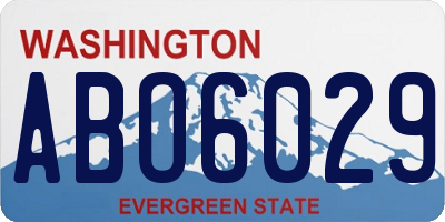 WA license plate ABO6029