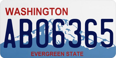 WA license plate ABO6365