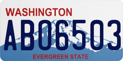 WA license plate ABO6503