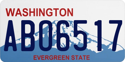 WA license plate ABO6517