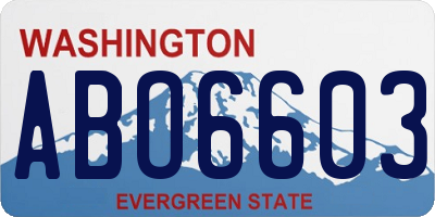 WA license plate ABO6603