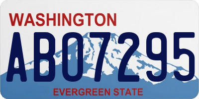WA license plate ABO7295