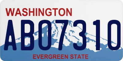 WA license plate ABO7310