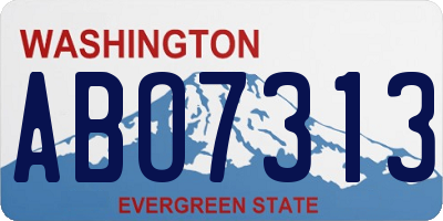 WA license plate ABO7313