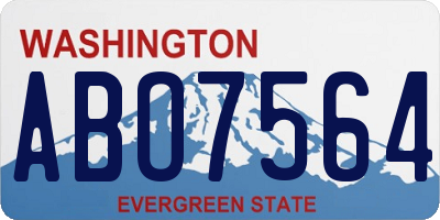 WA license plate ABO7564