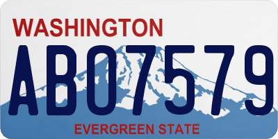 WA license plate ABO7579